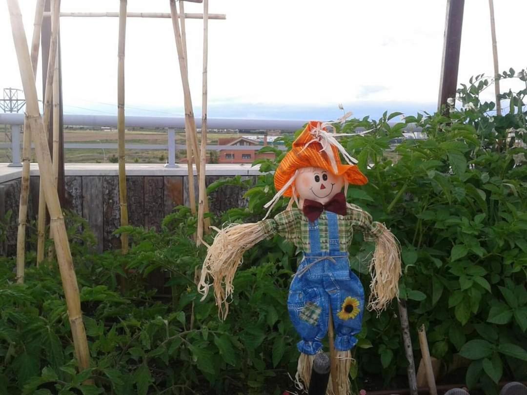 Atico Spa Rural Alcarraz 외부 사진