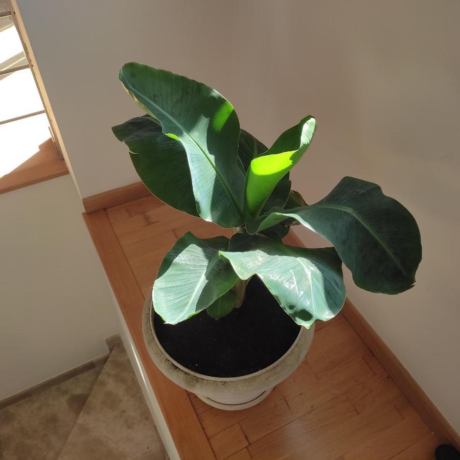 Atico Spa Rural Alcarraz 외부 사진
