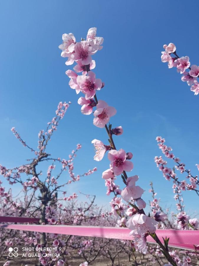 Atico Spa Rural Alcarraz 외부 사진